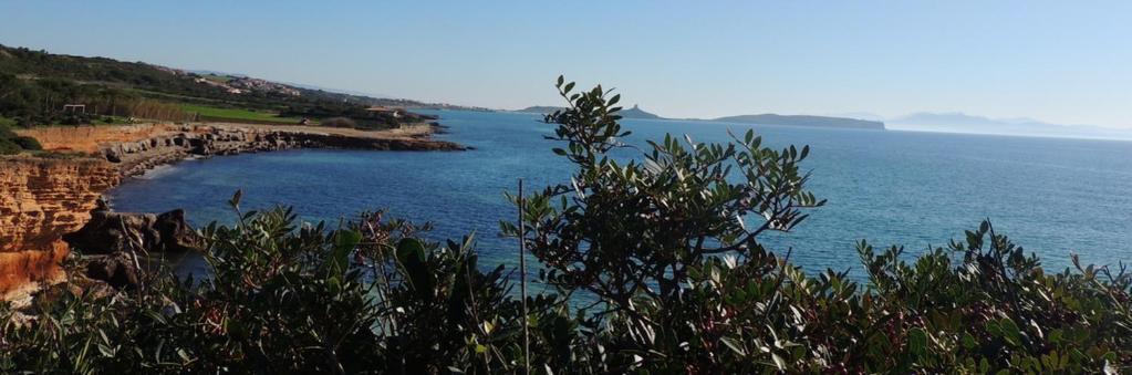 Arangioa - Senafer - Villa Funtana Meiga Bagian luar foto