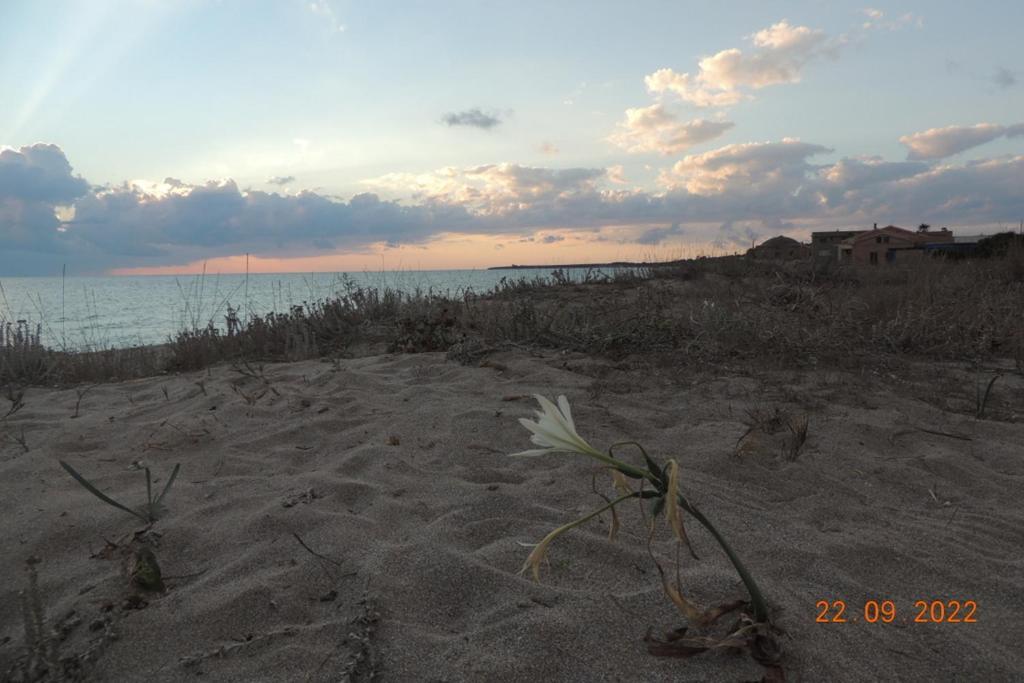 Arangioa - Senafer - Villa Funtana Meiga Bagian luar foto