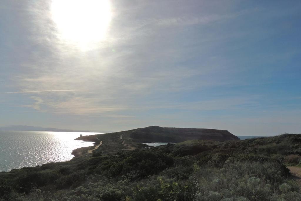 Arangioa - Senafer - Villa Funtana Meiga Bagian luar foto