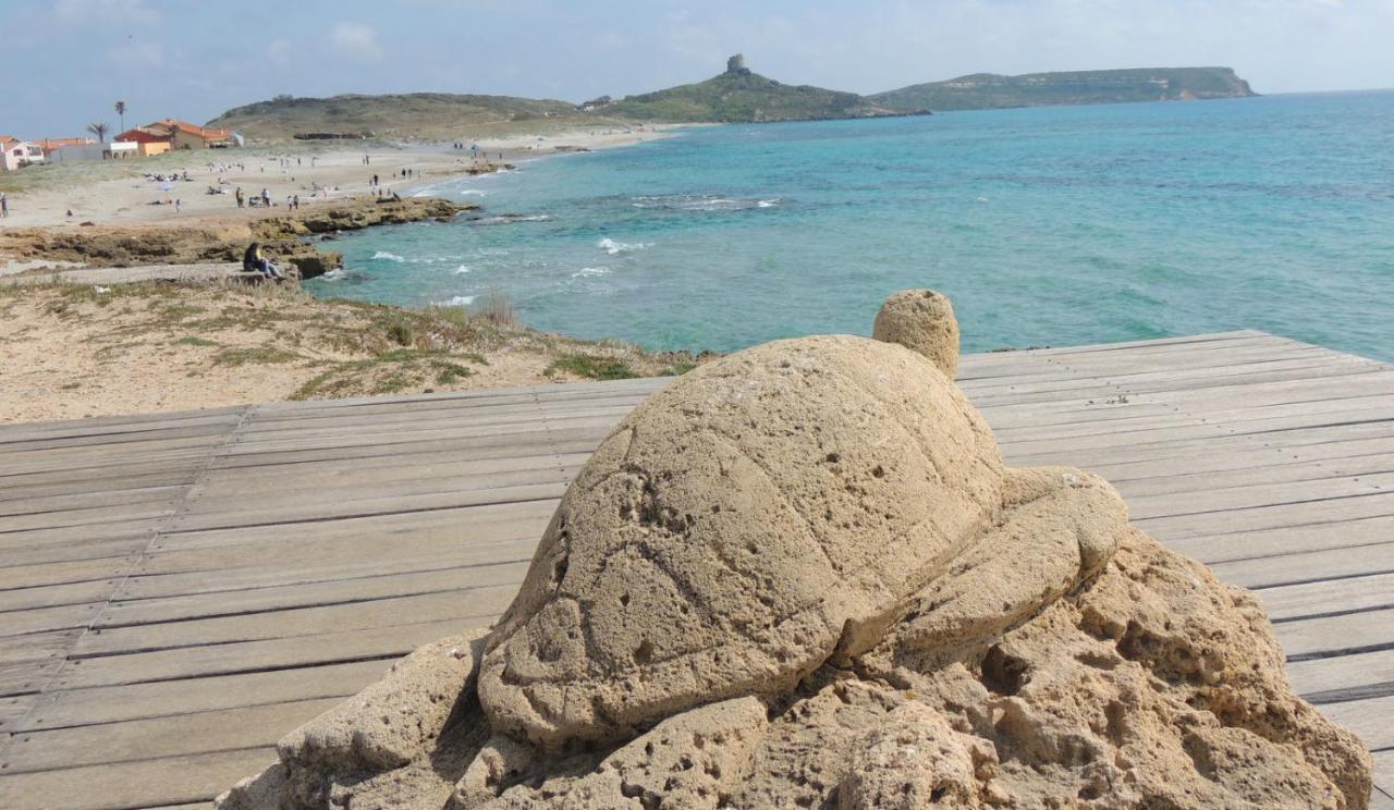 Arangioa - Senafer - Villa Funtana Meiga Bagian luar foto