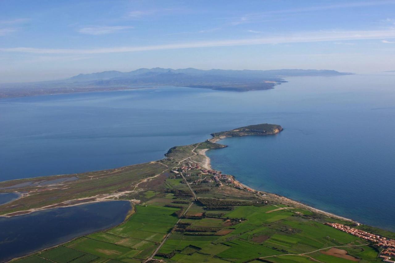 Arangioa - Senafer - Villa Funtana Meiga Bagian luar foto